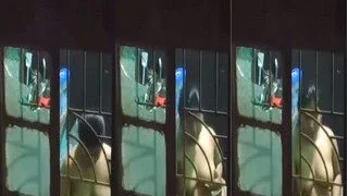 Desi Girl Boobs Video Captue | Viral MMS